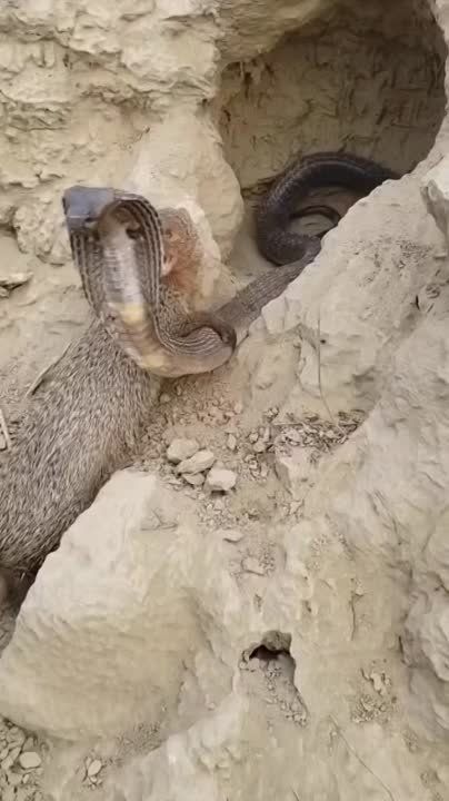 ��������, �� �������, ��� �������� �������� �� ����