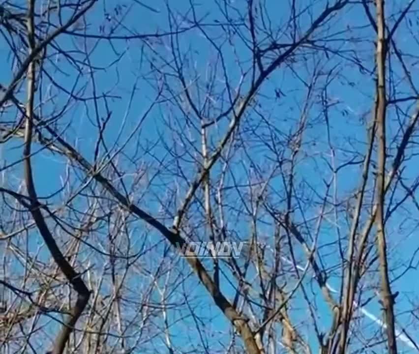 ������� ����� 16.00 �� ����������� ����������� ���������� ���������������� �������� 71 �������� �������� ������� 35 ����� ��� ��������� ������� ���� ���������� ����������� ����