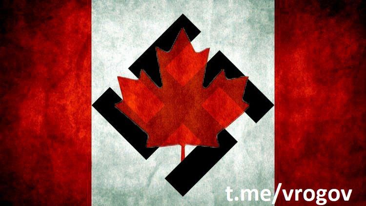 Владимир Рогов: Канада делает всё, чтобы её символом стал не кленовый лист, а свастика