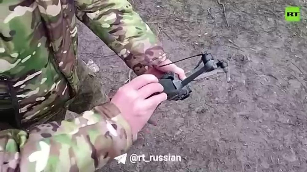 ����������� �����������