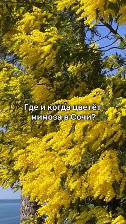 #�������������. ��� � ����� ������ ������ � ����?