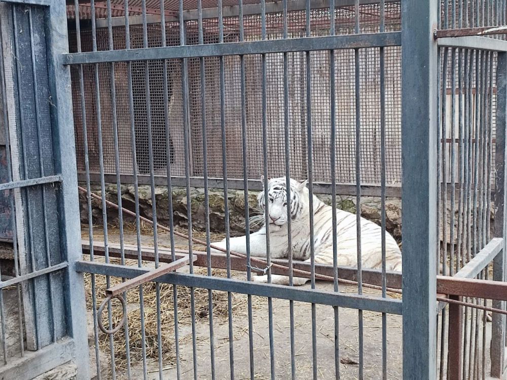 �������� ����������������� ����������������� ����� �������� ����� ������������ ������ �������� � ����������