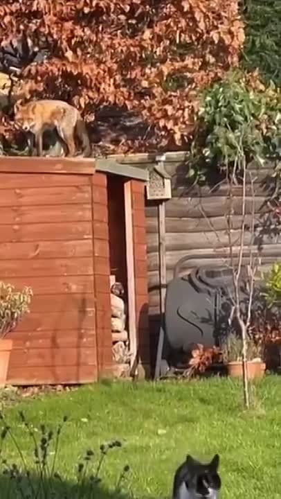 ����� �������� �������� �� ���� ������� �����, �� ��� ����� ����������� �����