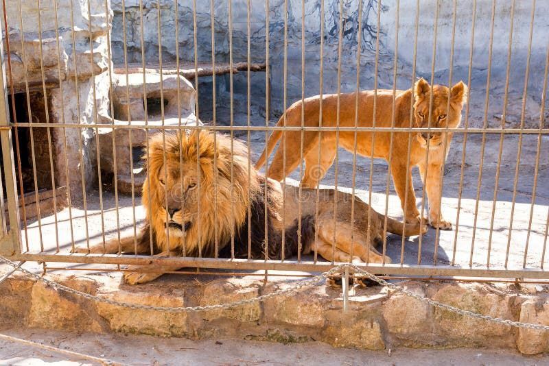 �������� ����������������� ����������������� ����� �������� ����� ������������ ������ �������� (����� ��������� ��� �������) � �. ����������