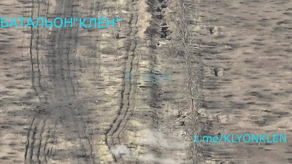 ����� �����: ����������� �����������