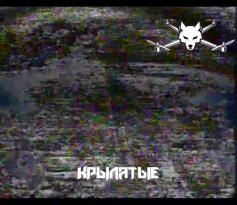 �������� ��������� FPV-������ �������� ������ ���� �� ���������� �����������