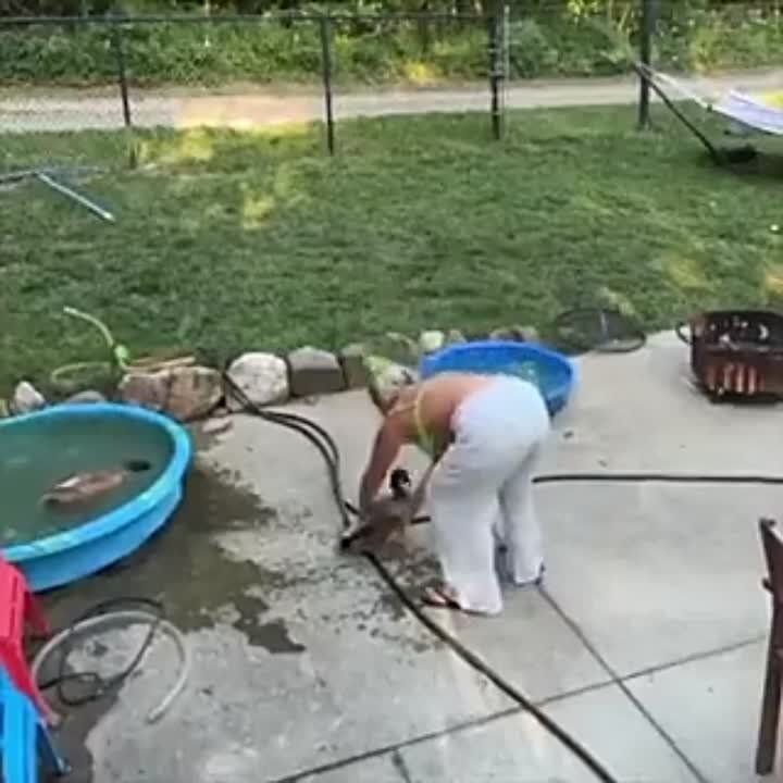 ������ ����, ������� ������!