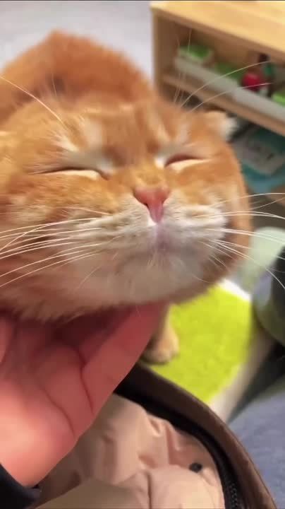������ ����, ������!. ����������, ����� ����� �������� � ����� ��� ������� ��������
