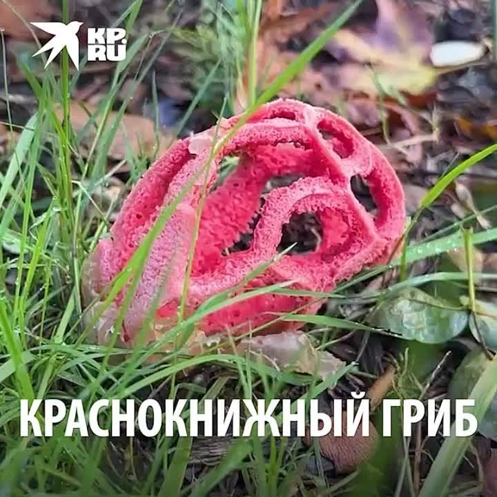 �������� ������� ���� ����� ������������ � ���� ��-�� ����������