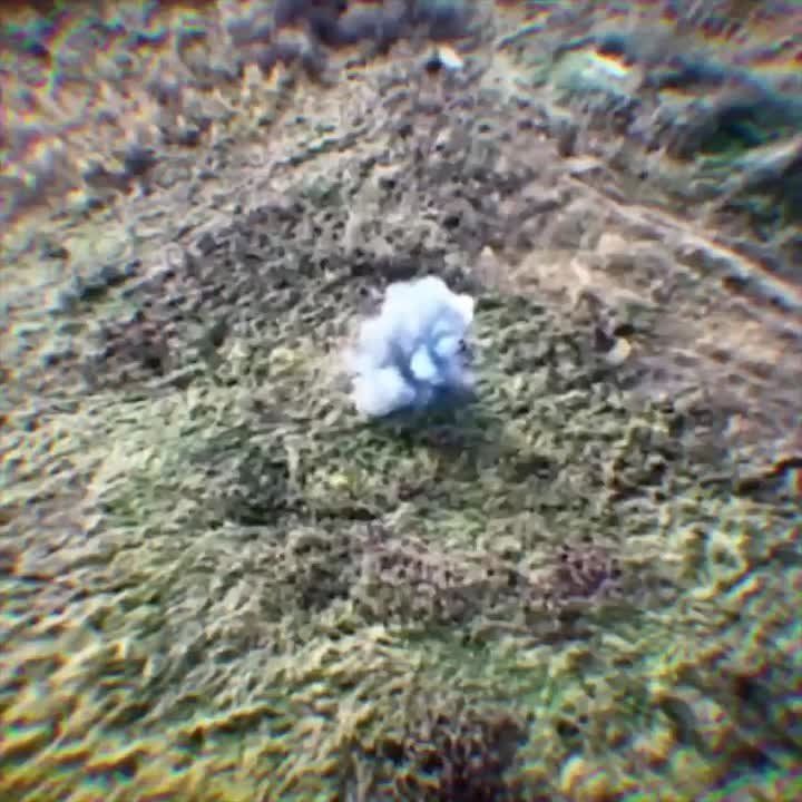 ������ �� ��������� � ����������� ����� ������ �� ��������� � ���������� �����