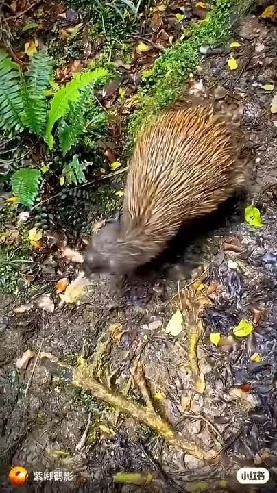 ����� ����.. ��� ������������ ��������, �� ������� �� ������ ����