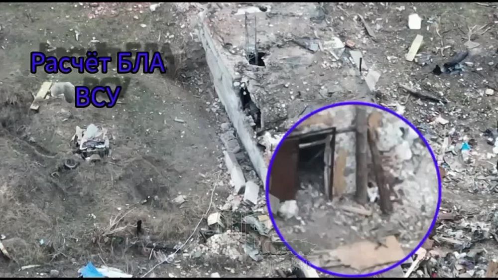 FPV-����� "�������" ��������� ���������� ��������
