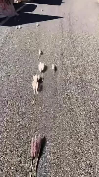 ���!. �������������� ��