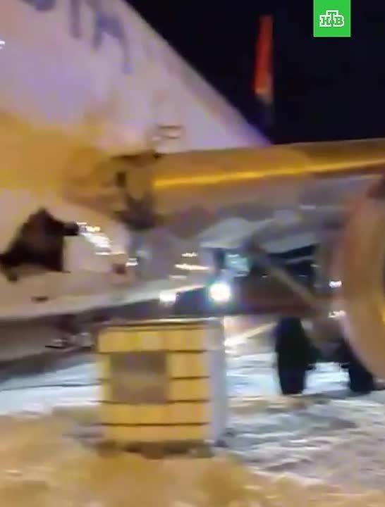 ������������ ������� ������������ Air Serbia, ���������� � ����������� �� 132 ����������� �� �����, ����� ���� �������-���������� ������ � ������ ������� � �����