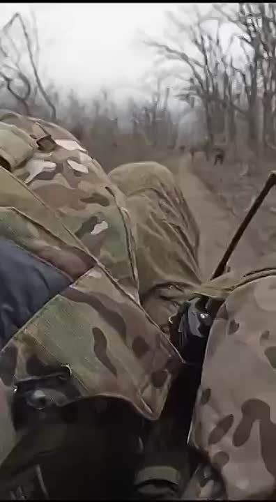 ���������� �����������. �������� ���������� �������. �� �������� �����, ����� ������� �� ������� �������� � ����