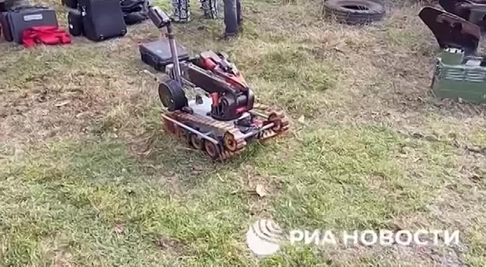 ������ � ������ ����