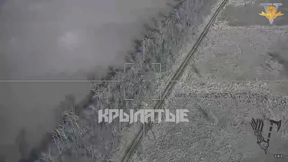 ����� �����: ����������� �����������