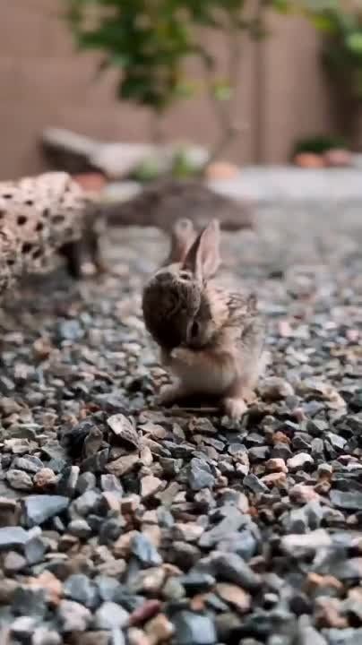 ������ ����, ������!. ����� �����������! �������������� ��