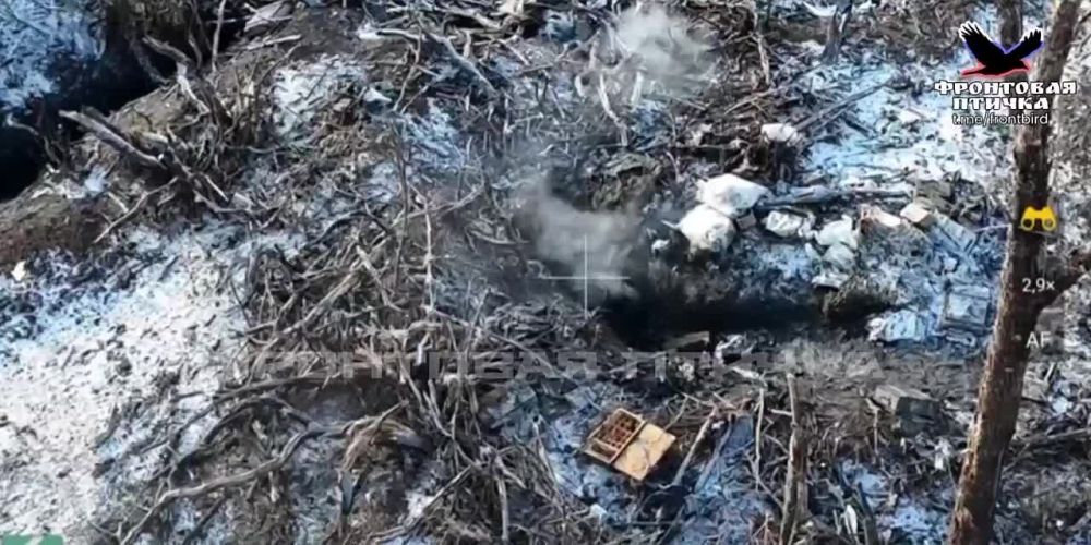 FPV-���� ������������ �������� ������� ���������