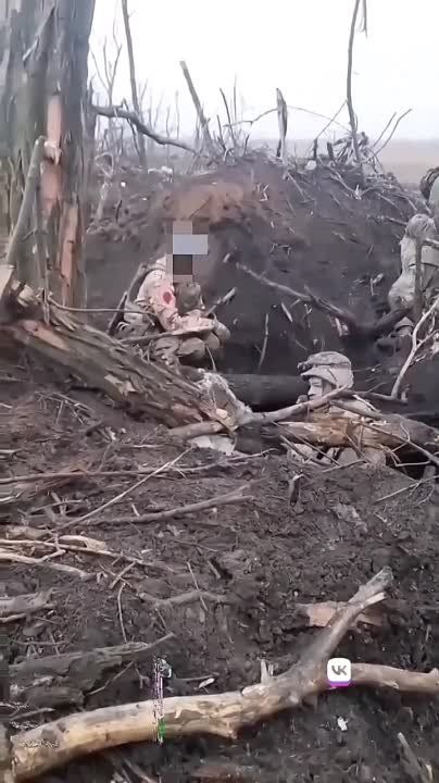 �� ����� ����� ���������� ������