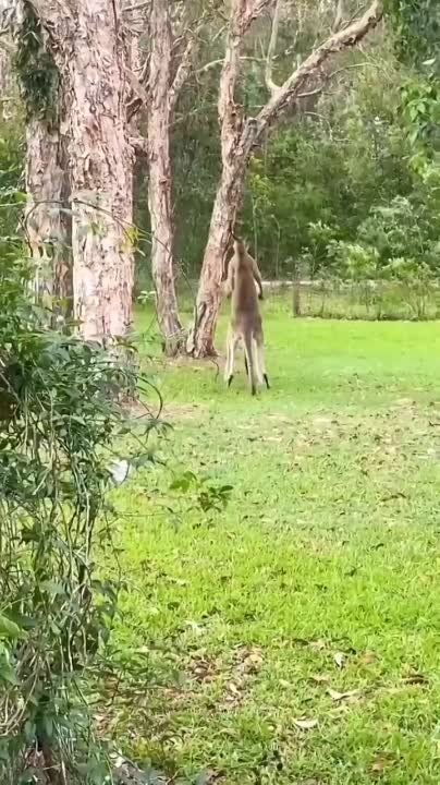 ��� ������ ������� ������, �� ����� ������ �����, ��� ������� ���������� ���� ������, ������� ��� ��������� ����� ������� ����� �����������