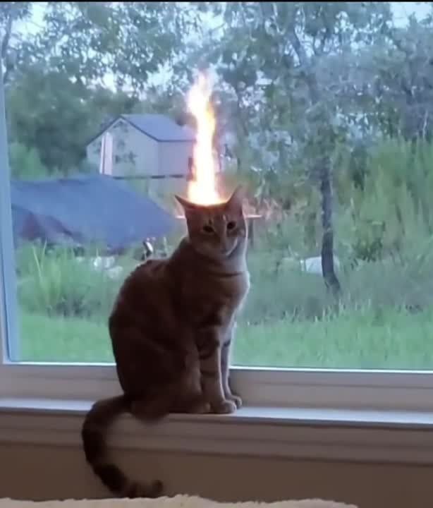 ���������, ����� ��������, ��� ������ ����� �� ������