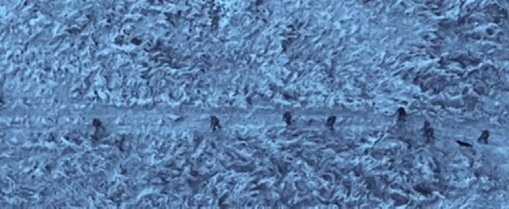 ���� �������� ����� ������������� � ������������ ����������� ������� ������ � ���������� ����