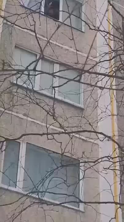��������� ��������� �� ���� ������ ����� ���� ���������� �����