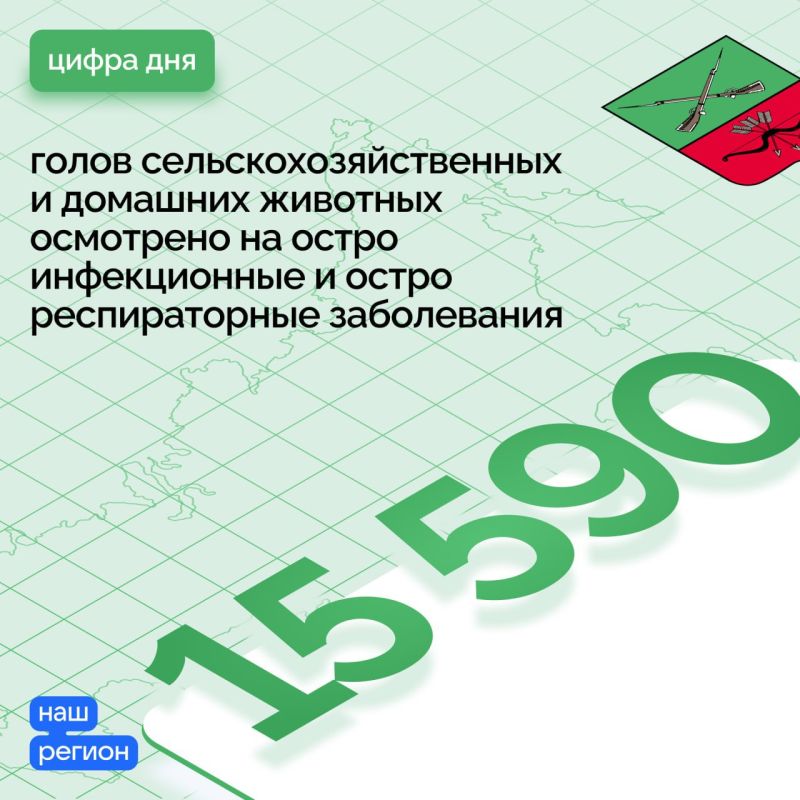 �� 2023 ��� �� ������������� ����������� ������� ������������� ������ ����������� ������� ��������� �� ����� ������������ � ����� ������������� ����������� - 15 590 ����� �������������������� � �������� ��������, 139 634 ����� �������� �����