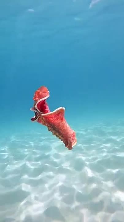 ��������� ������ - ��� ����� ��������� � �������� ��� ��������