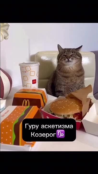 ���� ����!