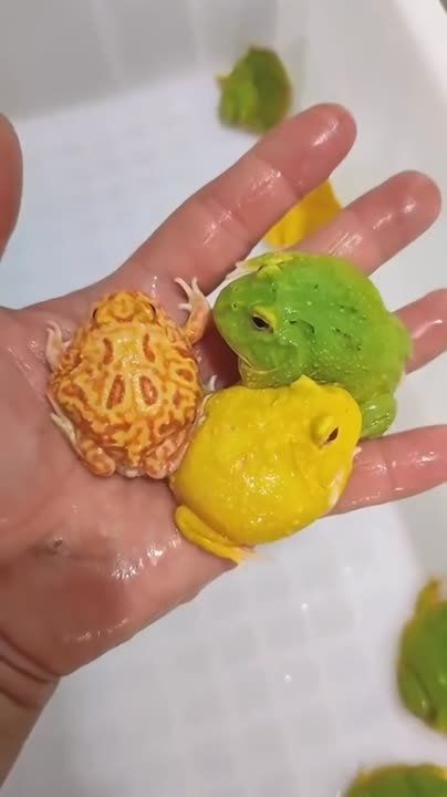 ������� ������� ������� � ����������� � �������������� �����