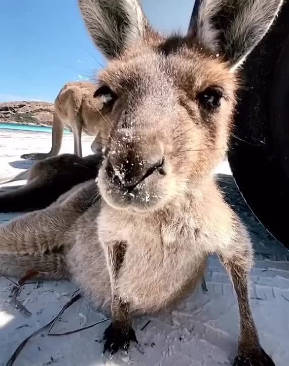 �������� ��������� ���� �� ����� ���������� ������ �������� ��������� ���� ���, ������������� � 770 �� �� ����� - ����������� ����� ������ ��� ������� ����� � ��������