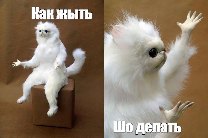 ������ G7 ����� ��������� �������� �� ���������� ���������� ������� � ����� ���������� ��������, ����� Bloomberg �� ������� �� ������ ���������