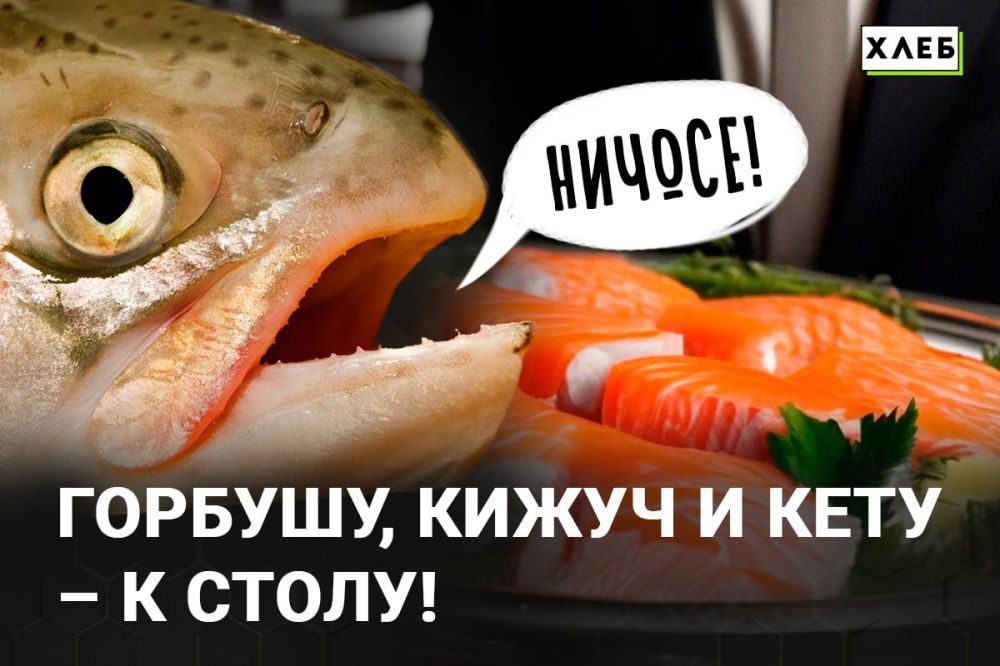 ��������� ������ ������� �� 15 ������ ������� ������� � �������������� �������� �� ��������������� ��������� �������� ����� ��� � ������� ����� �� ��������� ���������������� ������������ ������ � ����������� ����� ������