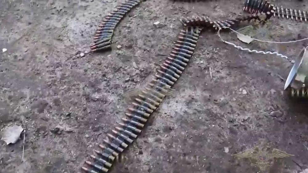 ������� ���������� � �������������� ������ ����� � ������� �������� ��������, ���������, ��������� � ������� ������������