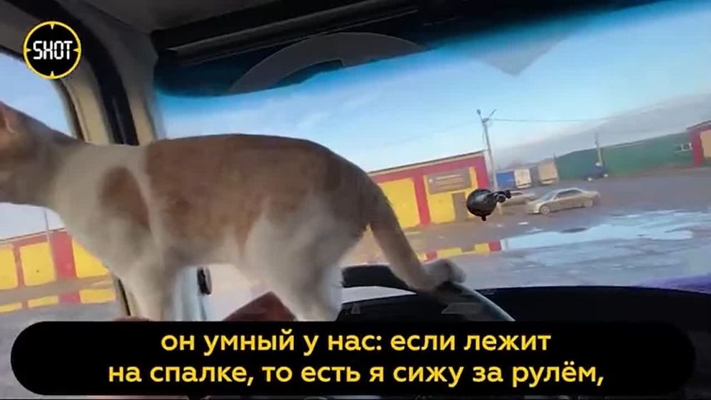 ���-������������ �� ����� ����� � ����� ������ ���������