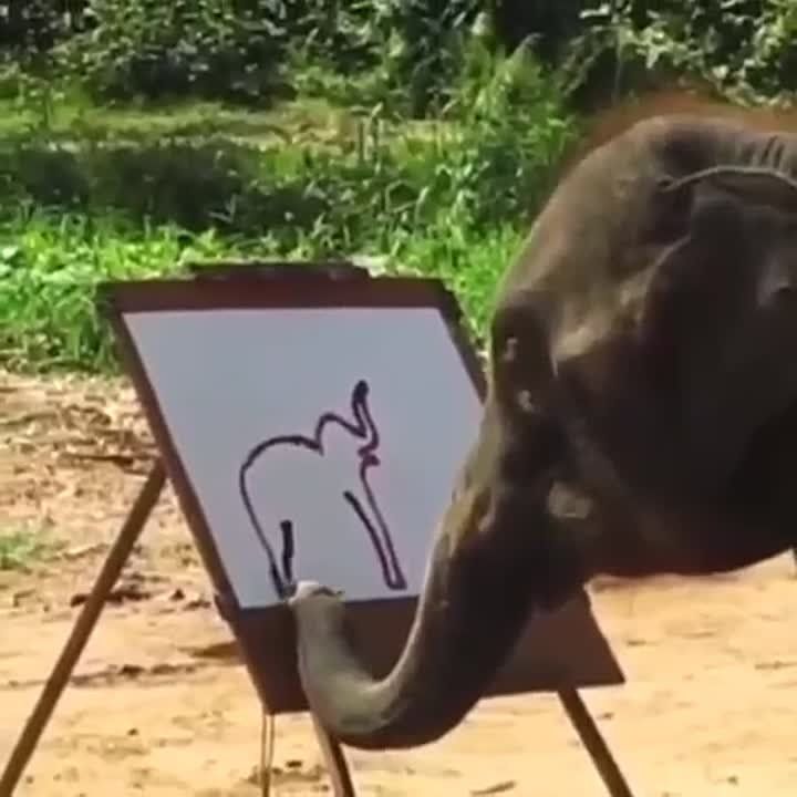 ��� ������, ����� ���� ������ ����� ����