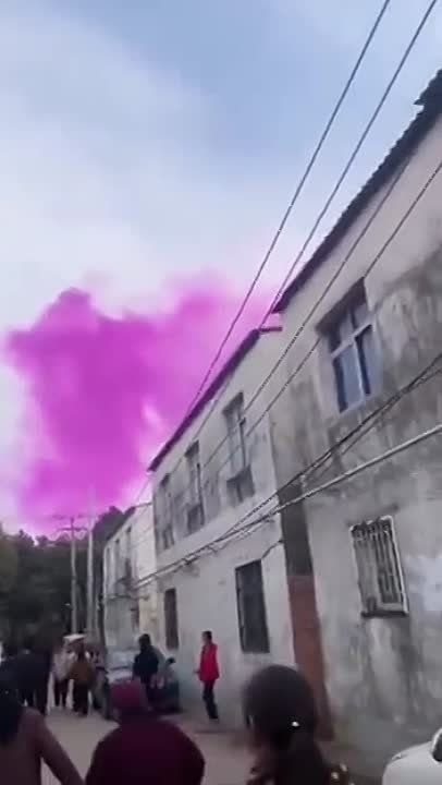 ����-���������� ������ ������� ���� ������