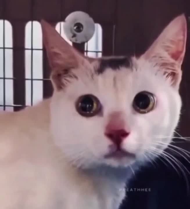 ��� �� �����, �� ��� �������