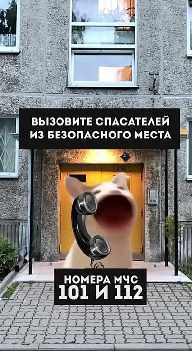 ������� ������ �� ������� ��������� ������� ��� ����������