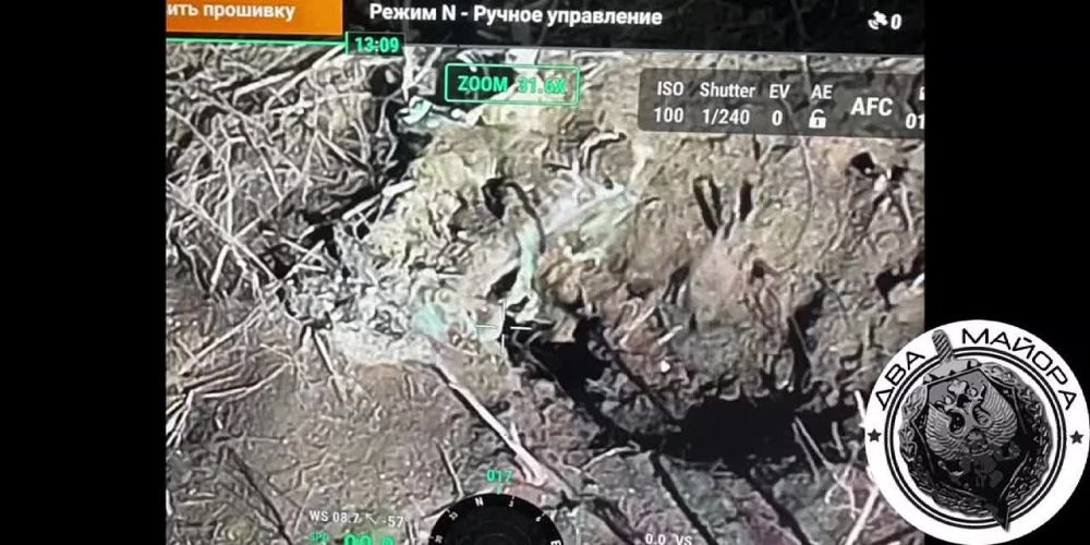 ��� ������: ����������� �����. ������ ���� ����� ���������� �� ���������� ��������