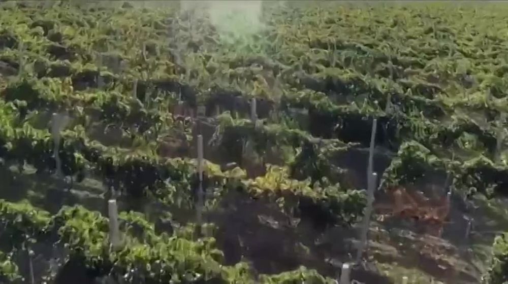 �� ����� ������ ��������� � ������ �� ��������� � ����������� ����� ������