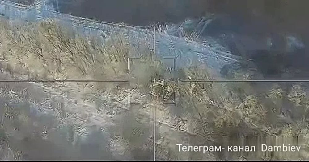 ������������� ��������� "������" �������� ���������� ���������� �������������� ��������� �� ������������ �����������