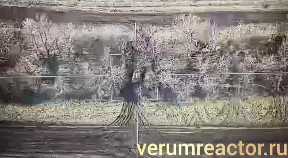 �� �� �������� �������� ���������� ��� ������-10 � ���� ���������� ���