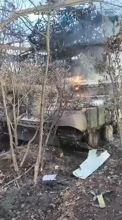 �����, ������ ������� ��������������