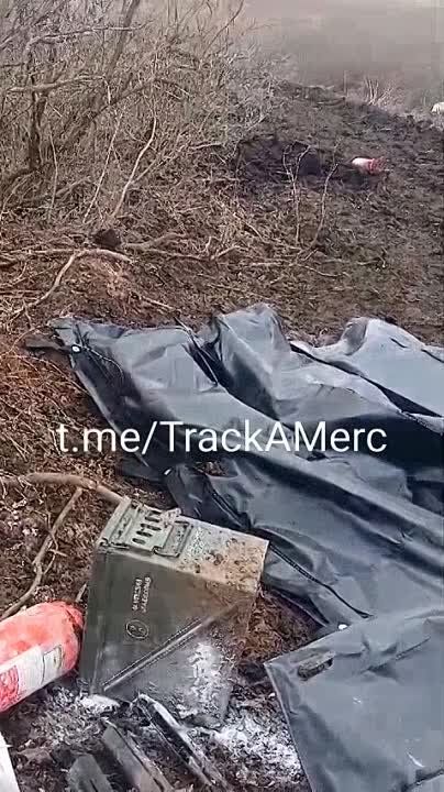 ������� ������������� 19 ������� ��� �������� ��������� �� ��������