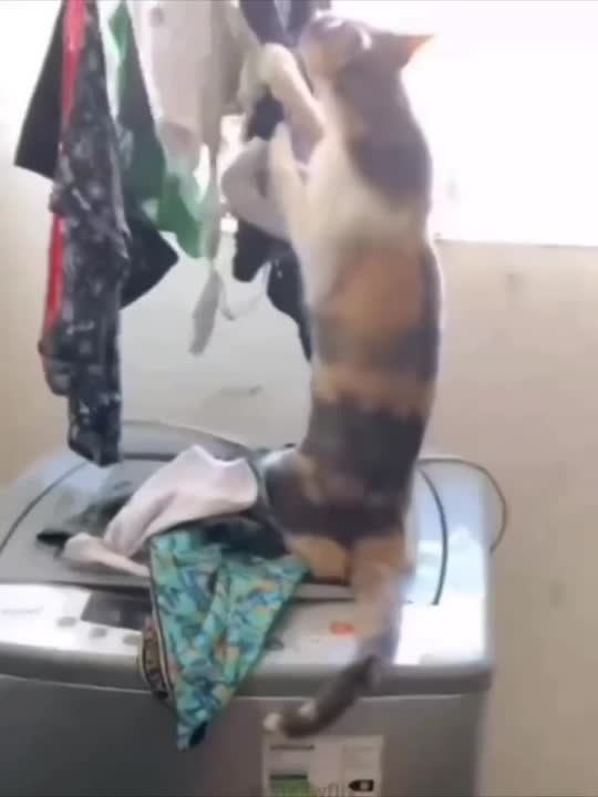 ������� ������ � ���� ����