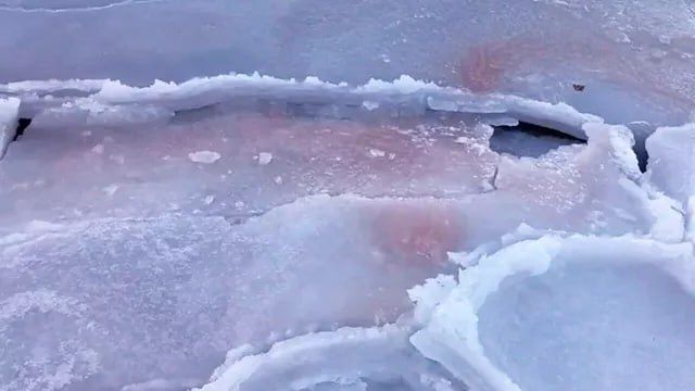 ������ �������� ������� ���������� ������ � ��������� ��������