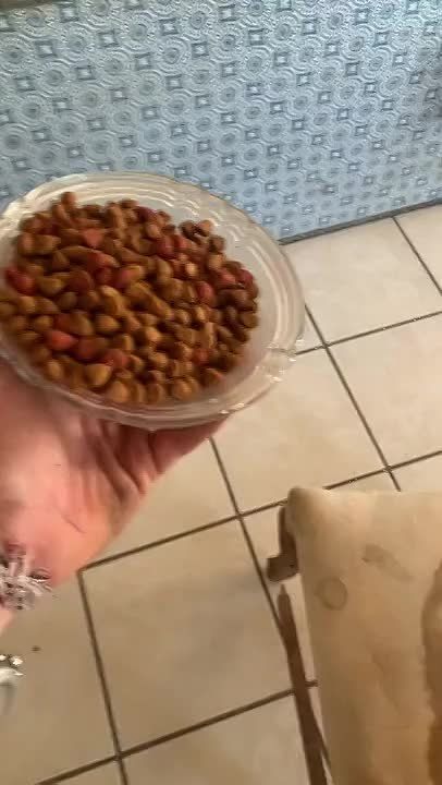 ����� �������! ��������� ��������!